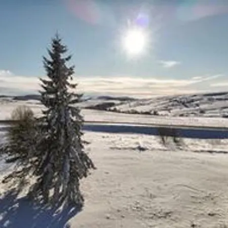 Au Chandesse Avec Acces Facile Aux Pistes - Fr-1-814-113 * Super Besse