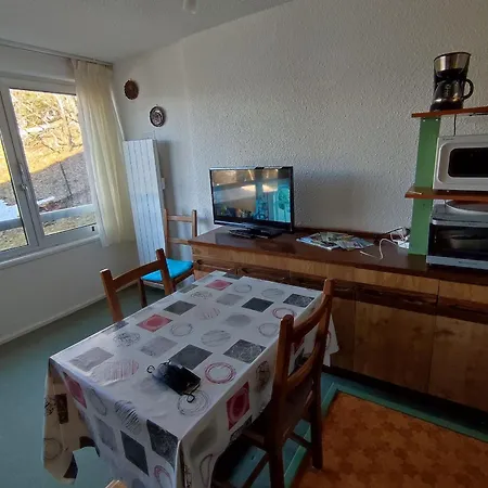 Apartment Bien Equipe Pres Des Pistes A Super - Fr-1-814-113 Besse-et-Saint-Anastaise