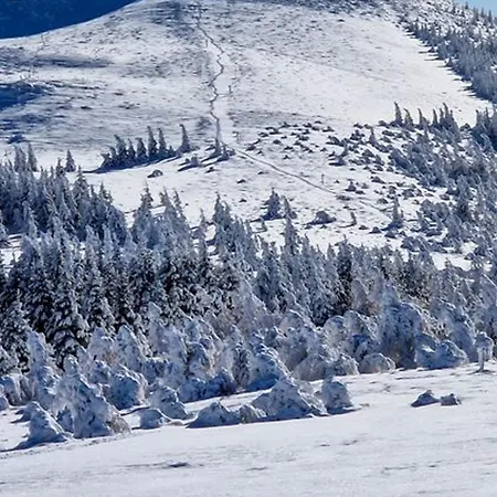 Au Chandesse Avec Acces Facile Aux Pistes - Fr-1-814-113